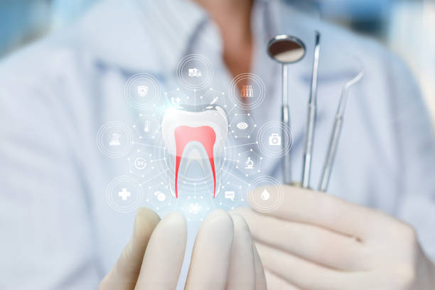 Best Emergency Dental Care  in North Brooksville, FL